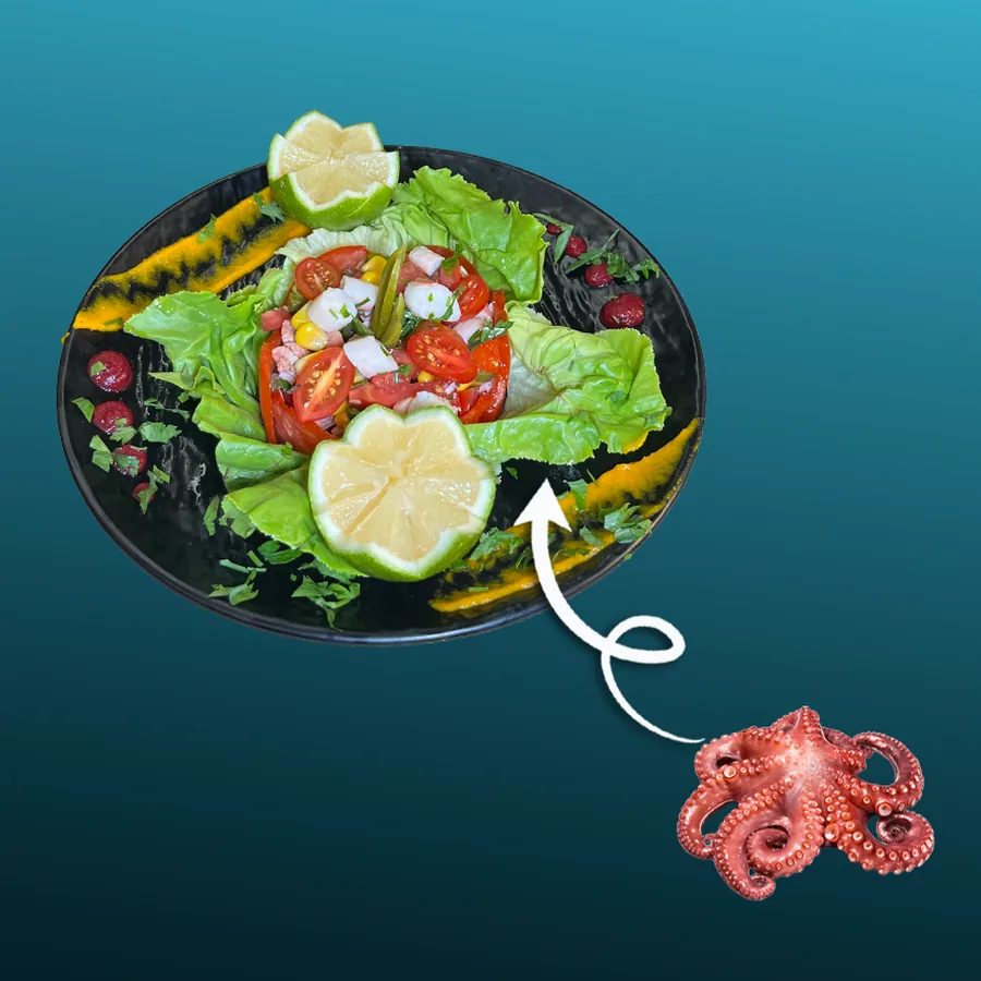 Salade de Poulpe — Poulpe coupé en dés, laitue et tomates, relevé au citron vert et aux herbes fraîches. · Sphère Restaurant by Léa, Kouba, Alger
