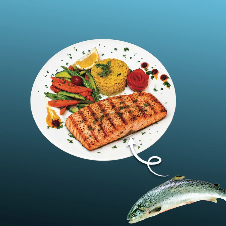 Saumon — Pavé de saumon grillé, marqué au gril et encore nacré au cœur. · Sphère Restaurant by Léa, Kouba, Alger