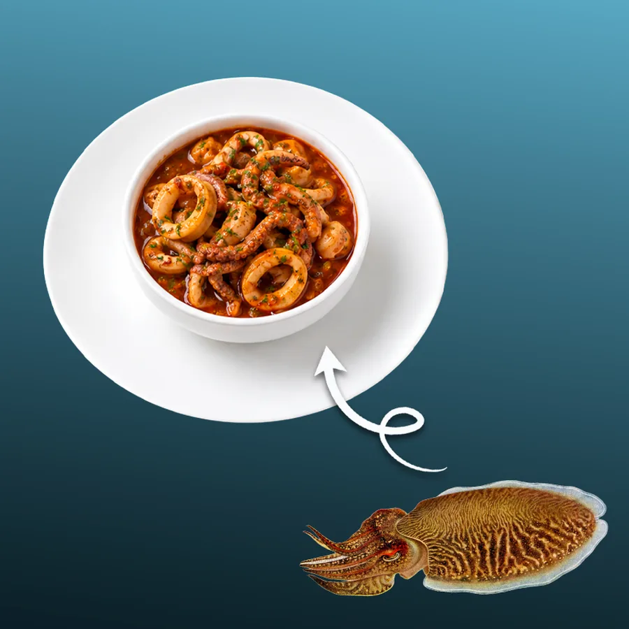 Sépia en Sauce — Anneaux de seiche mijotés en sauce, tendres et parfumés. · Sphère Restaurant by Léa, Kouba, Alger